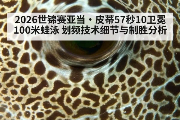 2026世锦赛亚当·皮蒂57秒10卫冕100米蛙泳 划频技术细节与制胜分析 | j9 game