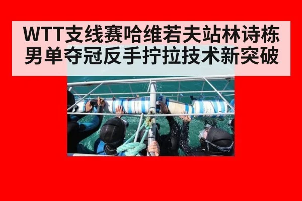 WTT支线赛哈维若夫站林诗栋男单夺冠反手拧拉技术新突破（j9 game）