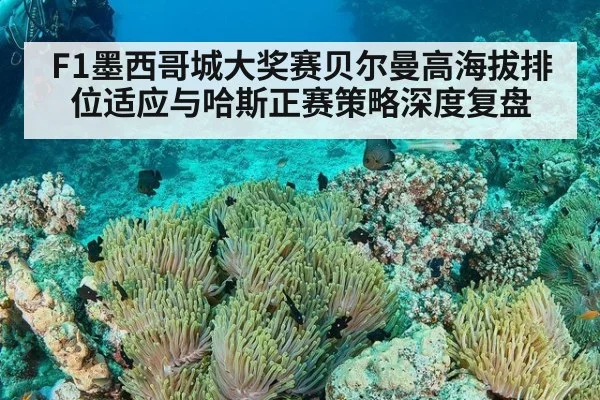 F1墨西哥城大奖赛贝尔曼高海拔排位适应与哈斯正赛策略深度复盘 | j9 game